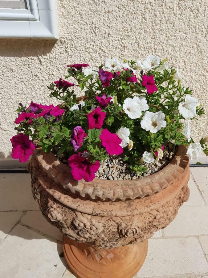 Trullo Villa Giulia Martina Franca Eksteriør bilde